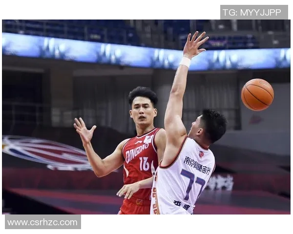 数据分析：南京篮球队的力量表现