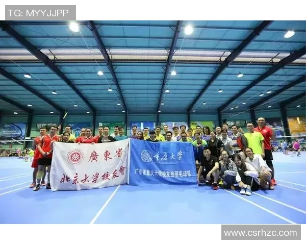 杭州羽毛球队个人能力分析与联赛表现评估