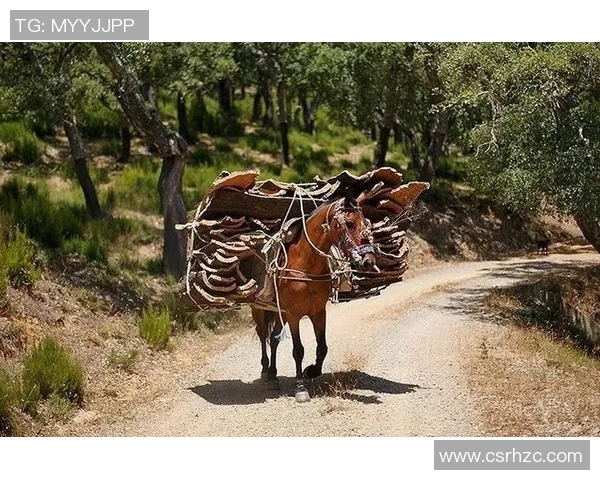德国足球明星小鹿的成长历程与辉煌成就揭秘 德国足球明星小鹿的成长历程与辉煌成就揭秘
