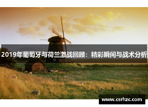 2019年葡萄牙与荷兰激战回顾：精彩瞬间与战术分析