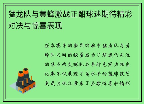 猛龙队与黄蜂激战正酣球迷期待精彩对决与惊喜表现